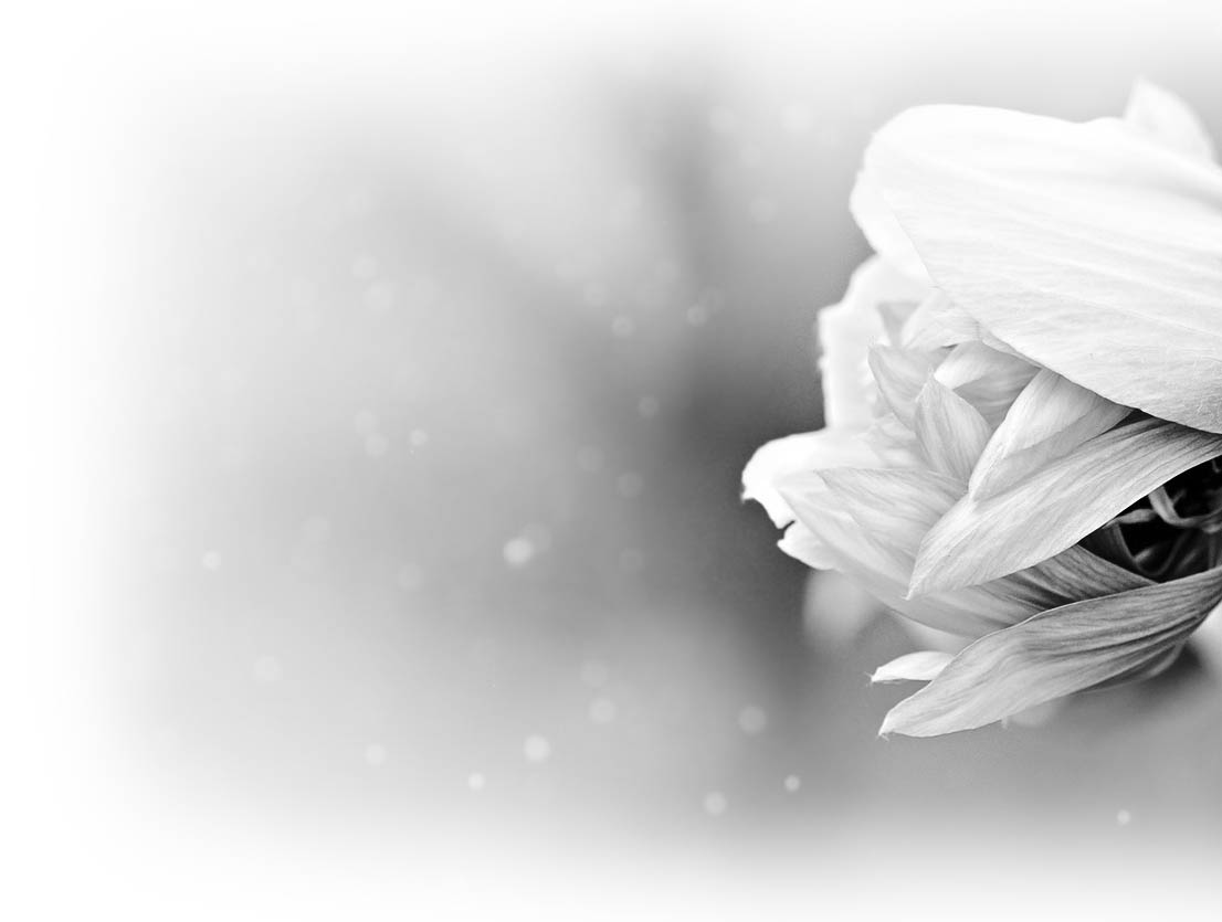 flower-back